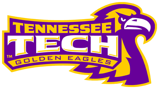 Tennessee Tech Golden Eagles 2006-Pres Alternate Logo v3 iron on transfers for clothing